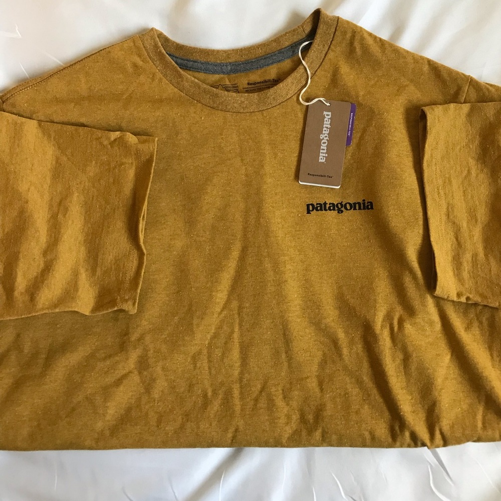 Patagonia Responsibiliti Tee shirt